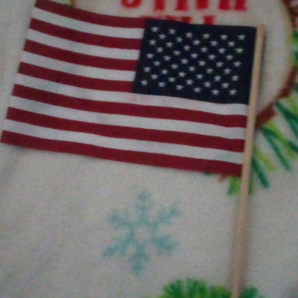 Flags - Picture 5 of 6